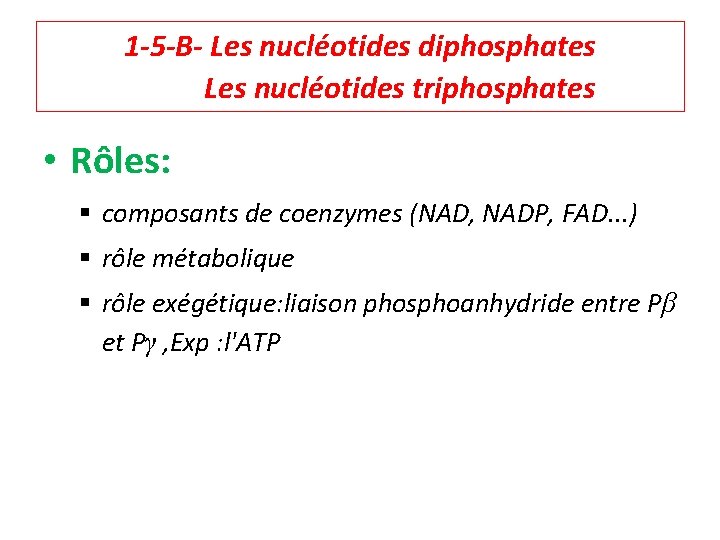 1 -5 -B- Les nucléotides diphosphates Les nucléotides triphosphates • Rôles: § composants de