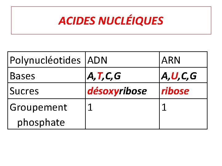 ACIDES NUCLÉIQUES Polynucléotides Bases Sucres Groupement phosphate ADN A, T, C, G désoxyribose 1