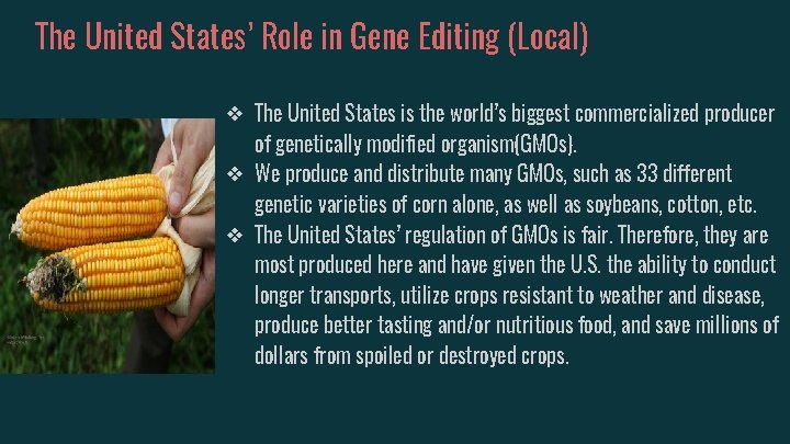 The United States’ Role in Gene Editing (Local) ❖ The United States is the