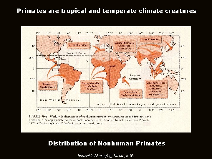 Primates are tropical and temperate climate creatures Distribution of Nonhuman Primates Humankind Emerging, 7