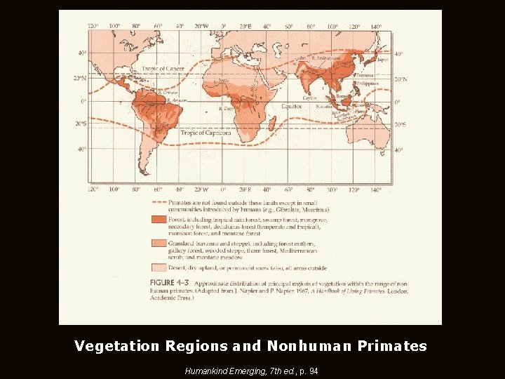 Vegetation Regions and Nonhuman Primates Humankind Emerging, 7 th ed. , p. 94 