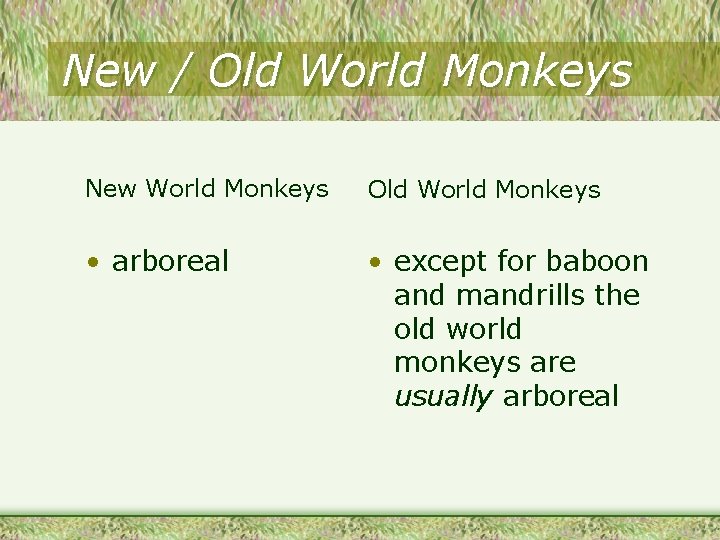 New / Old World Monkeys New World Monkeys Old World Monkeys • arboreal •