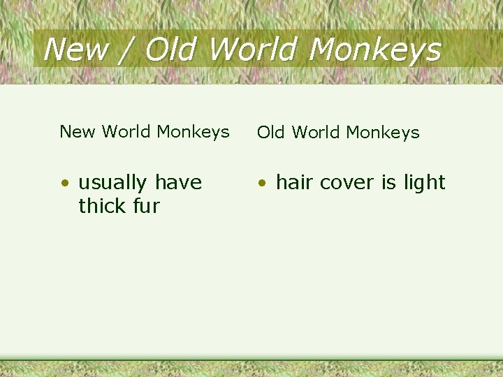 New / Old World Monkeys New World Monkeys Old World Monkeys • usually have