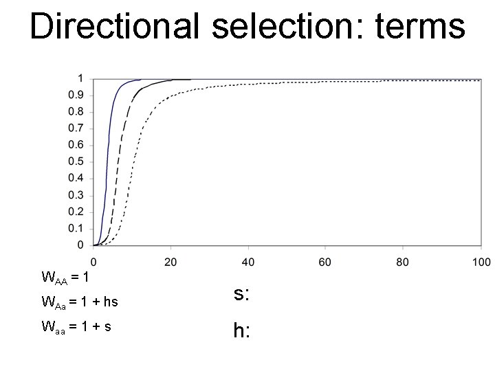 Directional selection: terms WAA = 1 WAa = 1 + hs Waa = 1