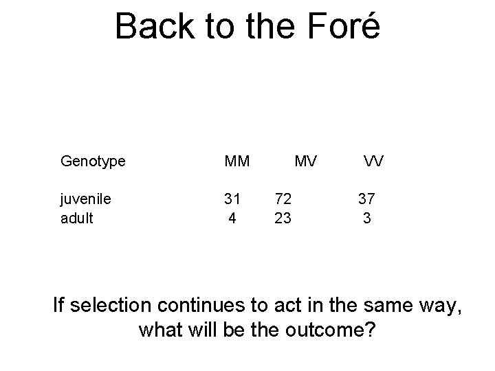 Back to the Foré Genotype MM juvenile adult 31 4 MV 72 23 VV