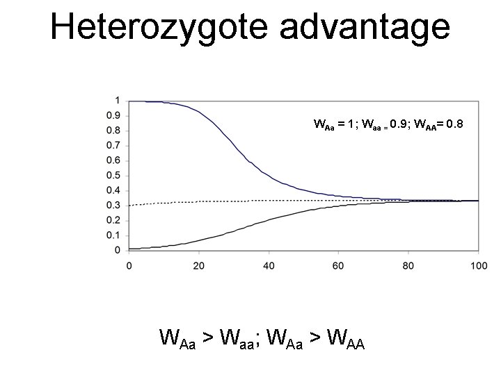 Heterozygote advantage WAa = 1; Waa = 0. 9; WAA= 0. 8 WAa >