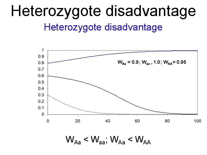 Heterozygote disadvantage WAa = 0. 9; Waa = 1. 0; WAA= 0. 95 WAa