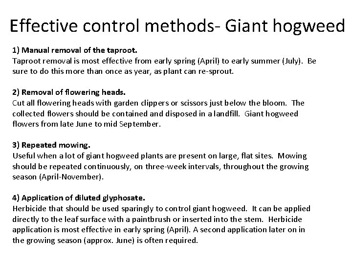 Effective control methods‐ Giant hogweed 1) Manual removal of the taproot. Taproot removal is