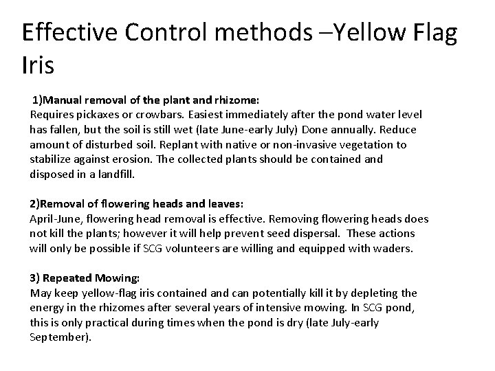 Effective Control methods –Yellow Flag Iris 1)Manual removal of the plant and rhizome: Requires