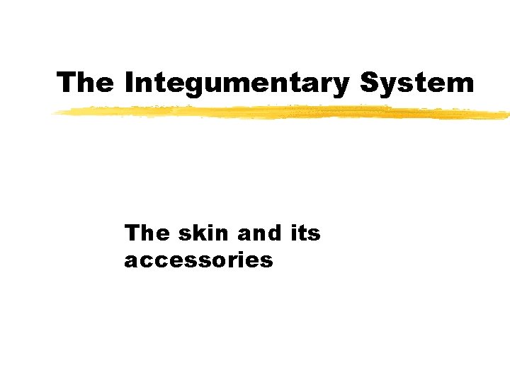 The Integumentary System The skin and its accessories 