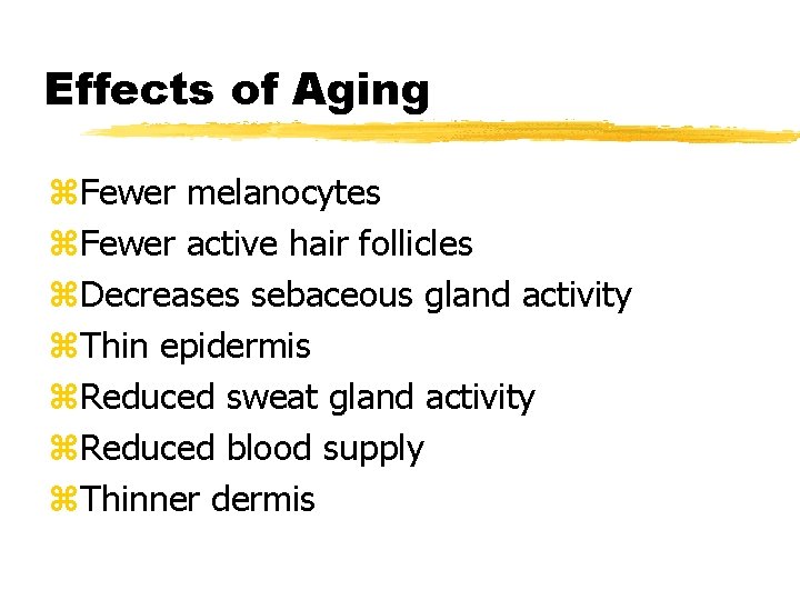 Effects of Aging z. Fewer melanocytes z. Fewer active hair follicles z. Decreases sebaceous