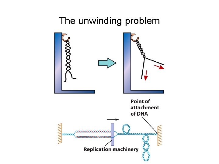 The unwinding problem 