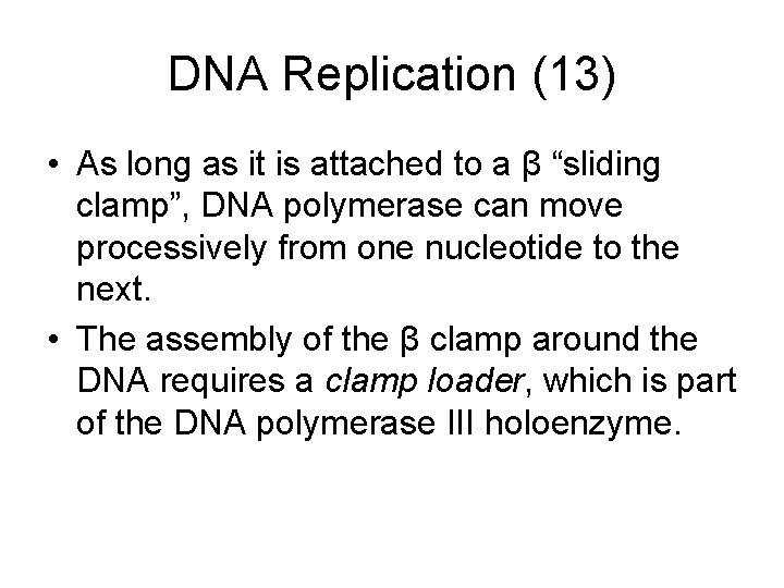 DNA Replication (13) • As long as it is attached to a β “sliding
