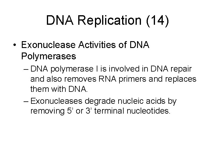 DNA Replication (14) • Exonuclease Activities of DNA Polymerases – DNA polymerase I is