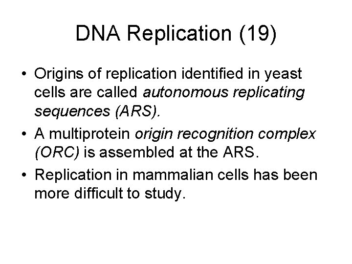 DNA Replication (19) • Origins of replication identified in yeast cells are called autonomous