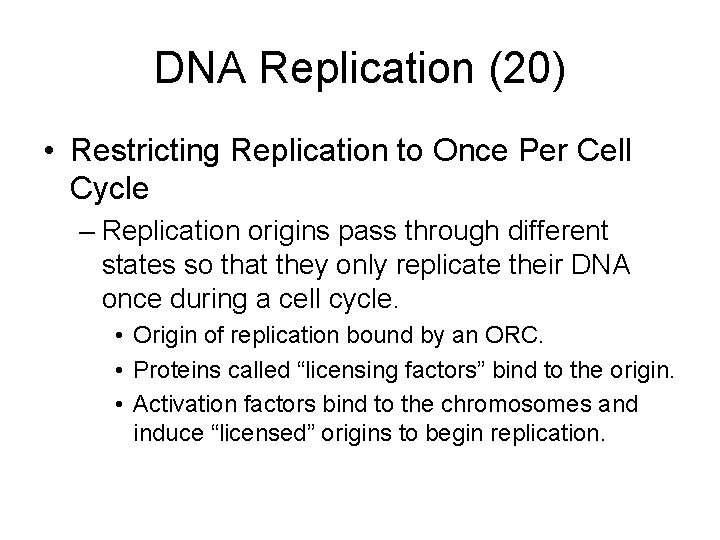 DNA Replication (20) • Restricting Replication to Once Per Cell Cycle – Replication origins