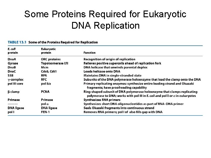 Some Proteins Required for Eukaryotic DNA Replication 