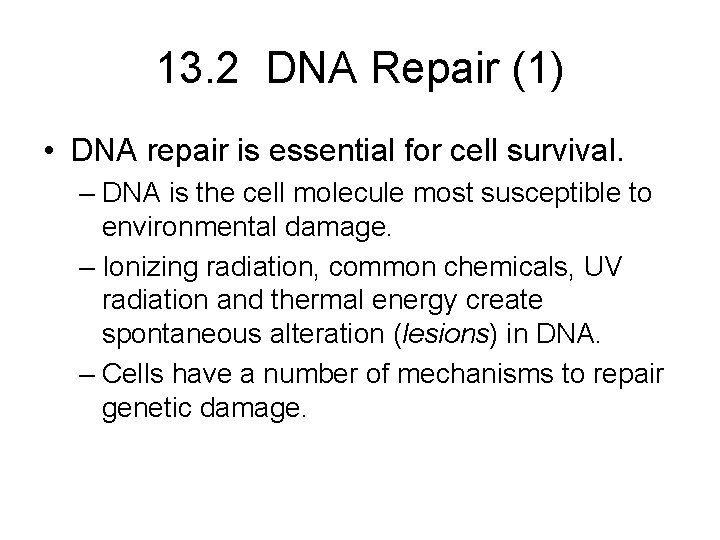 13. 2 DNA Repair (1) • DNA repair is essential for cell survival. –