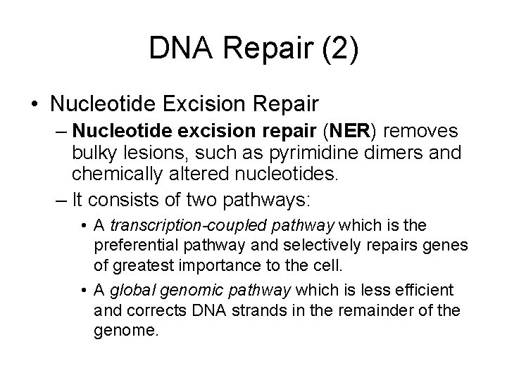 DNA Repair (2) • Nucleotide Excision Repair – Nucleotide excision repair (NER) removes bulky