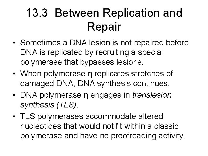13. 3 Between Replication and Repair • Sometimes a DNA lesion is not repaired