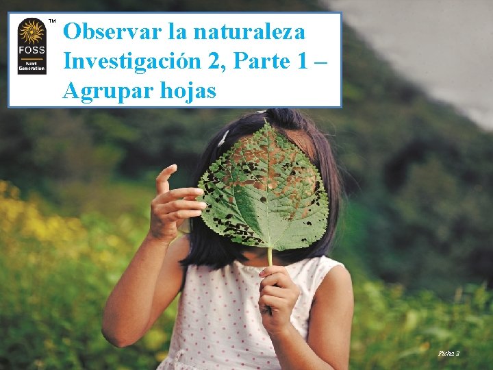 TM TM Observar la naturaleza Investigación 2, Parte 1 – Agrupar hojas Ficha 2