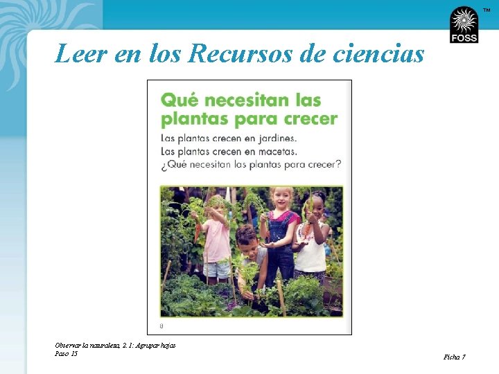 TM Leer en los Recursos de ciencias Observar la naturaleza, 2. 1: Agrupar hojas