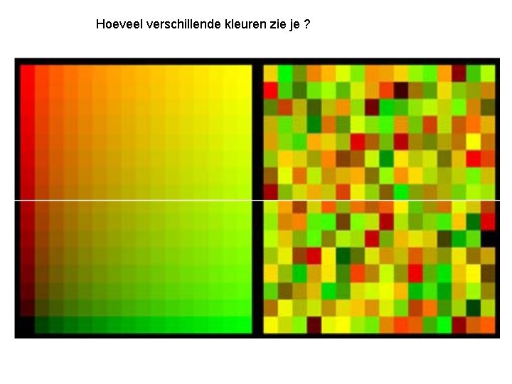 Hoeveel verschillende kleuren zie je ? 