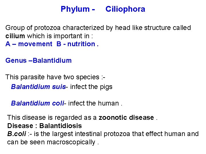Phylum - Ciliophora Group of protozoa characterized by head like structure called cilium which