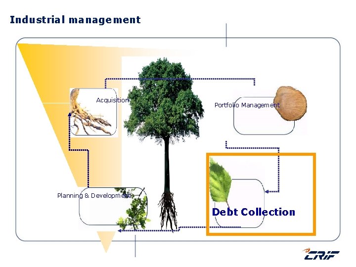 Industrial management Acquisition Portfolio Management Planning & Development Debt Collection 