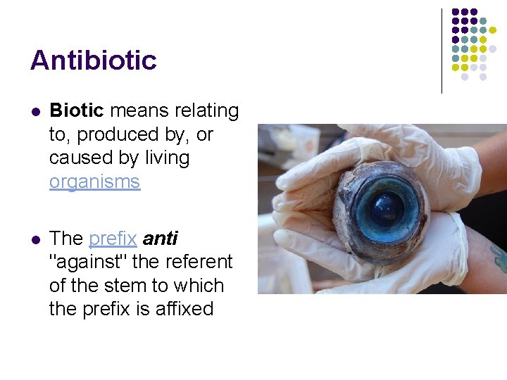 Antibiotic l Biotic means relating to, produced by, or caused by living organisms l