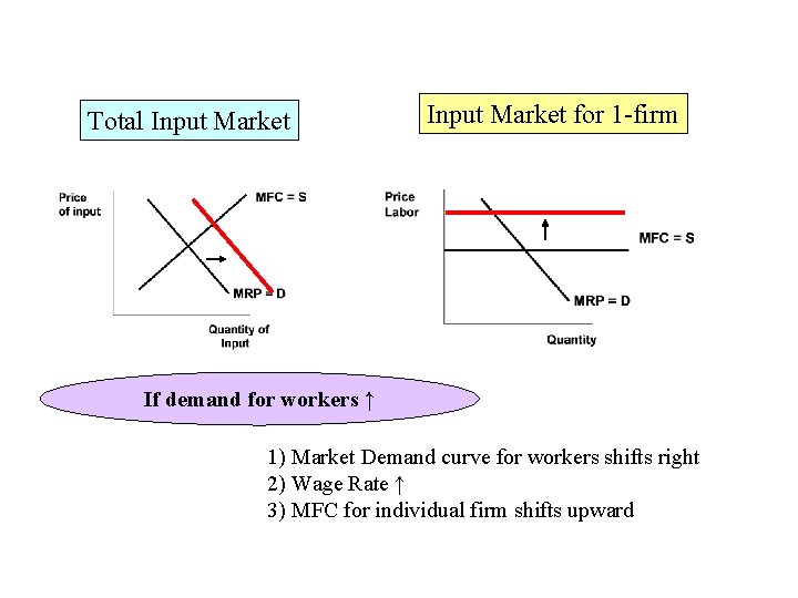 Total Input Market for 1 -firm If demand for workers ↑ 1) Market Demand