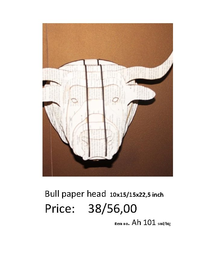 Bull paper head 10 x 15/15 x 22, 5 inch Price: 38/56, 00 item