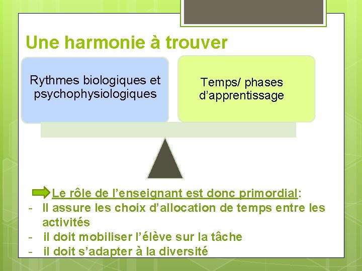 Une harmonie à trouver Rythmes biologiques et psychophysiologiques Temps/ phases d’apprentissage Le rôle de