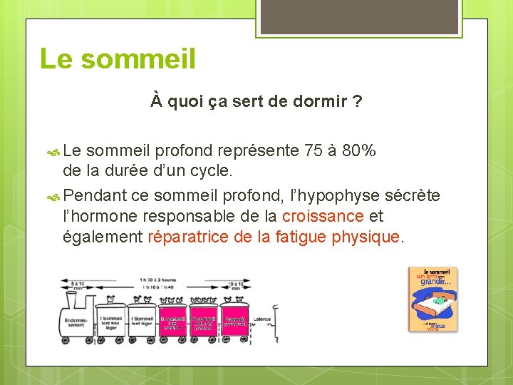 Le sommeil À quoi ça sert de dormir ? Le sommeil profond représente 75