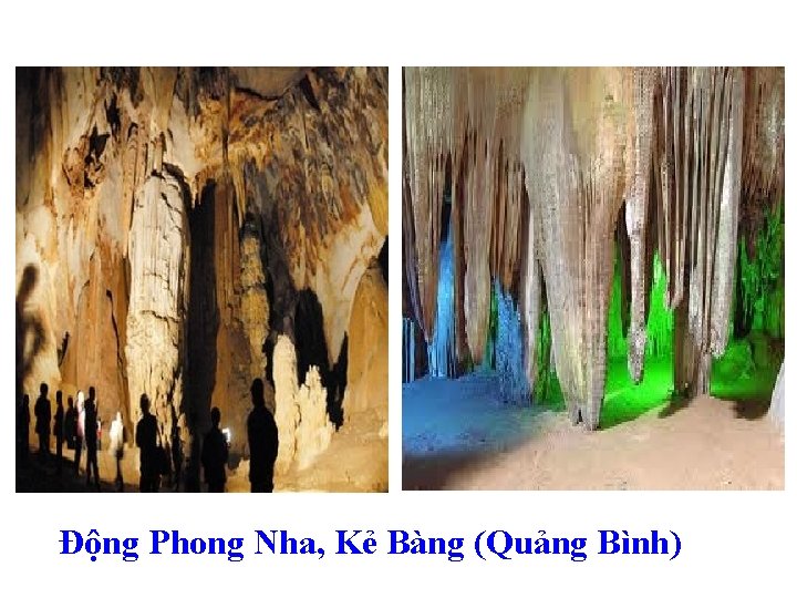 Động Phong Nha, Kẻ Bàng (Quảng Bình) 