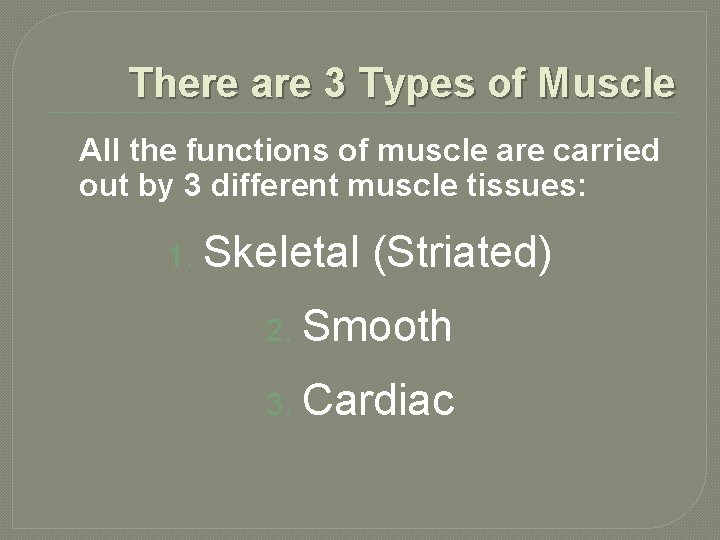 There are 3 Types of Muscle All the functions of muscle are carried out