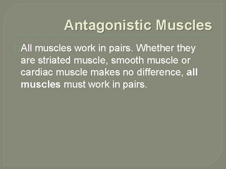 Antagonistic Muscles �All muscles work in pairs. Whether they are striated muscle, smooth muscle