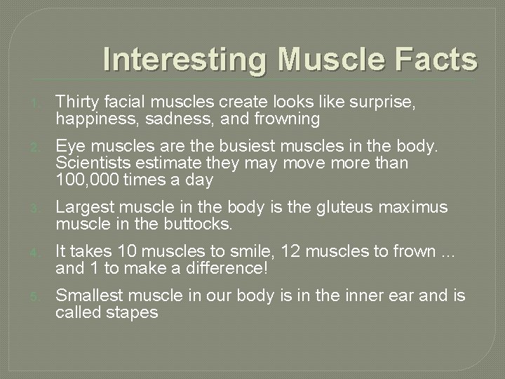 Interesting Muscle Facts 1. Thirty facial muscles create looks like surprise, happiness, sadness, and