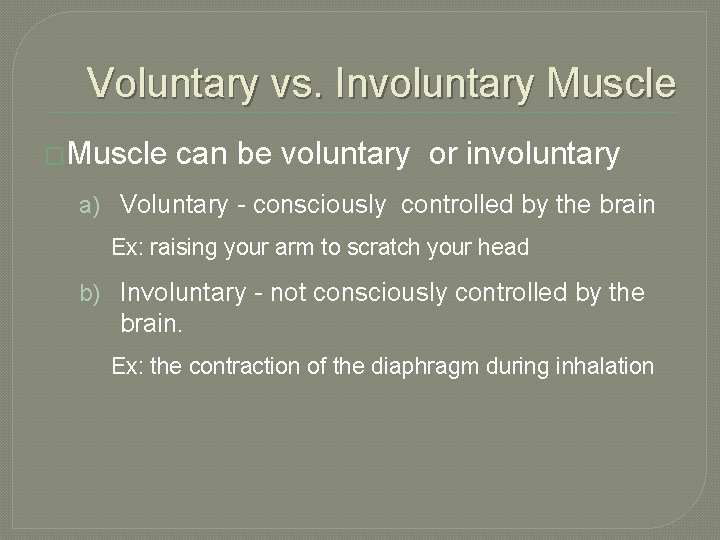 Voluntary vs. Involuntary Muscle �Muscle can be voluntary or involuntary a) Voluntary - consciously