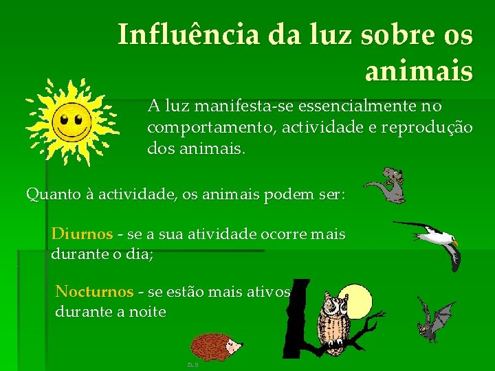 Influência da luz sobre os animais A luz manifesta-se essencialmente no comportamento, actividade e