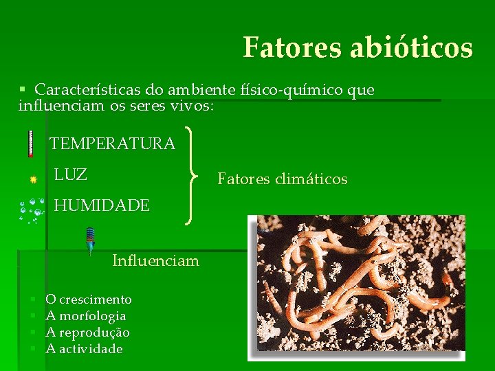 Fatores abióticos § Características do ambiente físico-químico que influenciam os seres vivos: TEMPERATURA LUZ