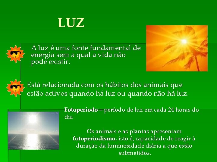 LUZ A luz é uma fonte fundamental de energia sem a qual a vida