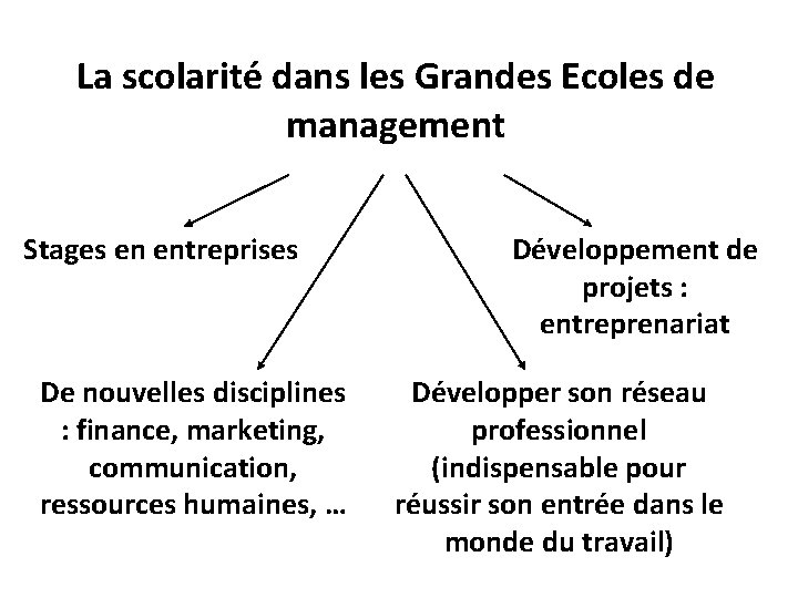 La scolarité dans les Grandes Ecoles de management Stages en entreprises De nouvelles disciplines La scolarité dans les Grandes Ecoles de management Stages en entreprises De nouvelles disciplines