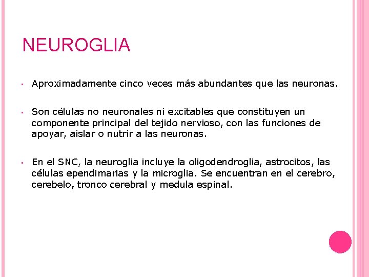 NEUROGLIA • Aproximadamente cinco veces más abundantes que las neuronas. • Son células no