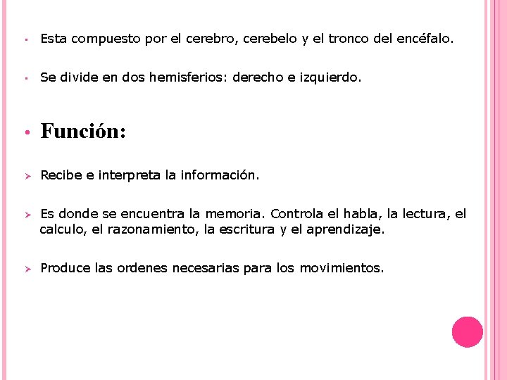  • Esta compuesto por el cerebro, cerebelo y el tronco del encéfalo. •