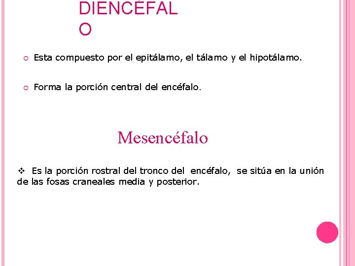 DIENCÉFAL O Esta compuesto por el epitálamo, el tálamo y el hipotálamo. Forma la