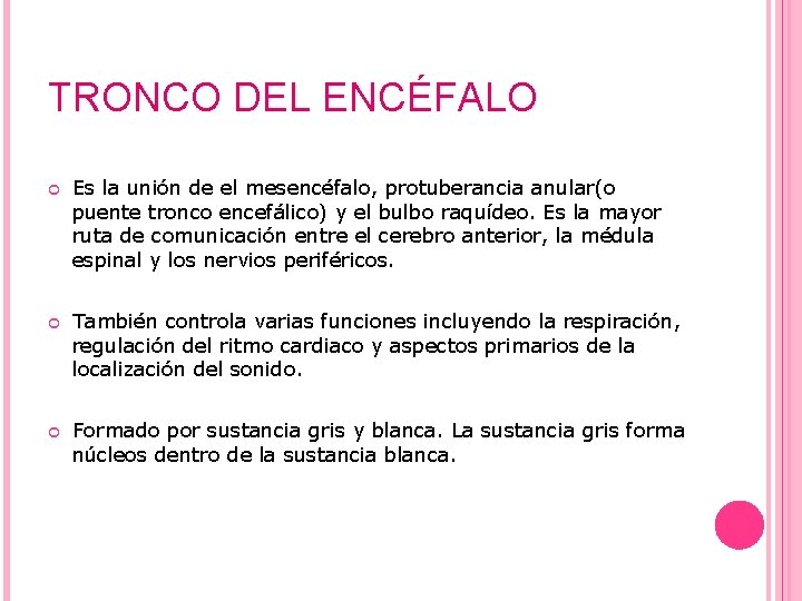 TRONCO DEL ENCÉFALO Es la unión de el mesencéfalo, protuberancia anular(o puente tronco encefálico)