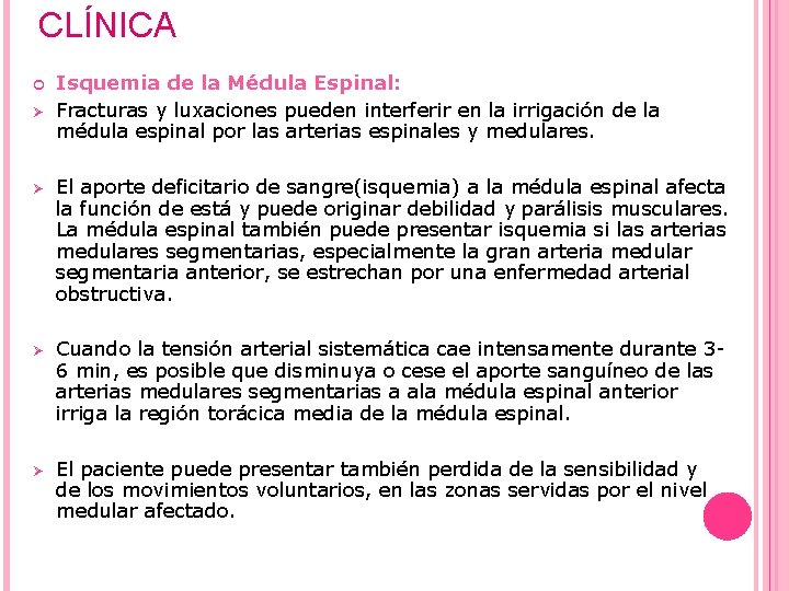 CLÍNICA Ø Isquemia de la Médula Espinal: Fracturas y luxaciones pueden interferir en la