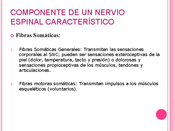 COMPONENTE DE UN NERVIO ESPINAL CARACTERÍSTICO Fibras Somáticas: 1. Fibras Somáticas Generales: Transmiten las