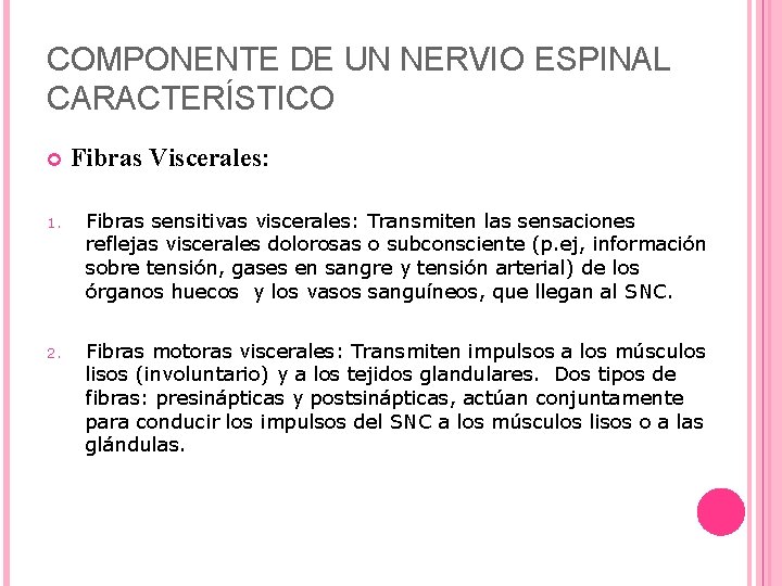 COMPONENTE DE UN NERVIO ESPINAL CARACTERÍSTICO Fibras Viscerales: 1. Fibras sensitivas viscerales: Transmiten las